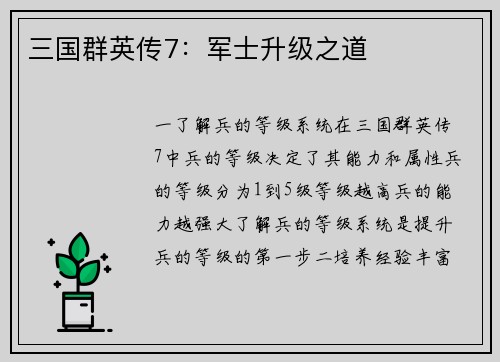 三国群英传7：军士升级之道